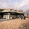 ブルーベリーの土作りと剪定