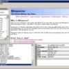 winspector 実践編その1