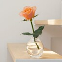 心に咲いた小さな花