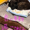 2024カウントダウン1❗️&大晦日。