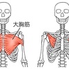 眠れない夜は僕を起こしてほしい※元気な時はね（生後55日目）