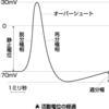 Q,鍼灸師です。更問いの内容に関して　５