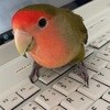 やったぜＦ７ルン♪