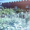 Rewilding-Knepp Estate Walled Garden