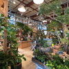 【the FARM UNIVERSAL】千葉の大型園芸店！久しぶりの植物めぐりで癒しの休日。