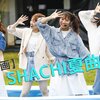 夏だ！シャチサマだ！そうだ、夏曲総選挙しよう――勝手に夏曲総選挙開票