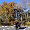 紅葉見納めツーリング