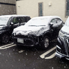 ついに雪が降りました…