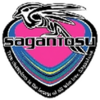 Salaries of J.League Sagan Tosu Players in 2021