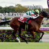 競馬初心者必見☆馬券予想🔥〜富士S〜マイルCSに向けた1戦。