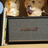 MarshallのActon IIIを買った