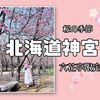 桜が咲く季節の北海道神宮！六花亭の限定焼き餅「判官さま」など…