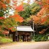 岐阜県関市（武儀地域）の紅葉スポット5選！2019年の見頃は？