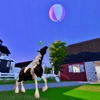 Horse Ranch（16）