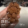今年の屋台の流行