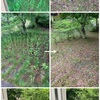 草刈り前後