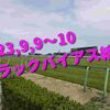 2023,9,9～10 トラックバイアス結果 (中山競馬場、阪神競馬場)