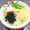  2014/08/23 かけうどん