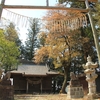 【小美玉市)竹原神社の山桜・・