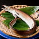 生き方が雑