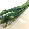 ニラの頭にボウズがついてる野菜を買ってみた。【韭菜花＝花ニラの卵炒め】