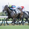 【一口馬主／ソワドリヨン】末脚炸裂！２連勝！