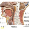 声が出しにくいって、どういうこと？