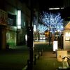 ２０１３．１１月の・・・