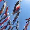 【お写んぽ。】【カメ活】【ソロ活】今年のこいのぼり