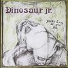 グッときた１曲　Dinosaur Jr - Little Fury Things