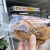 たい焼きレポート第256弾「おひげのたこやき たいやき」in岐阜県下呂市