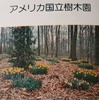 「世界の植物」70　　アメリカ国立樹木園