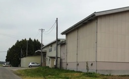 記事を見る