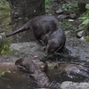 動物とのスキンシップ～長崎バイオパーク（４）～