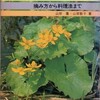 68．万葉集に詠まれていない花（１１）独活（うど）