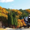 【岐阜】紅葉のせせらぎ街道へツーリング！鶏ちゃんも絶品でした！