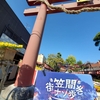 魅力満載！笠間の菊祭りと謎解き体験
