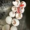 衝撃‼️卵の使い道🥚🥚✨✨