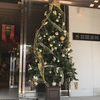 家具店もクリスマス仕様＆ランチは「ＲＡＪＡ」のカレー♪　12月15日（2019）　