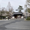 辛くても　憔悴してても花は咲く