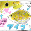 アイゴという魚