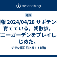 週報 2024/04/28 サボテンを育てている。朝散歩。バニーガーデンをプレイしはじめた。