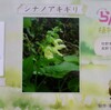 「佐久の季節便り」、真夏の花、「カンナ」や「鳳仙花（ほうせんか）」も咲き始めて…。