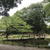 森林公園