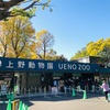 上野動物園とiPhone11