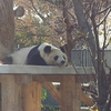 王子動物園（兵庫県神戸市）