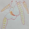 『HandleladyBottomMaster(゜◇゜)⤴』20180927〜