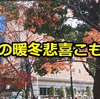 今年は異常に暖かい？2016年の暖冬での影響を調べてみた