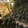 よりディープな京都を楽しめる、通好みの京都の楽しみ方5選
