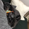 【ＢＴ５】フライングしてみた